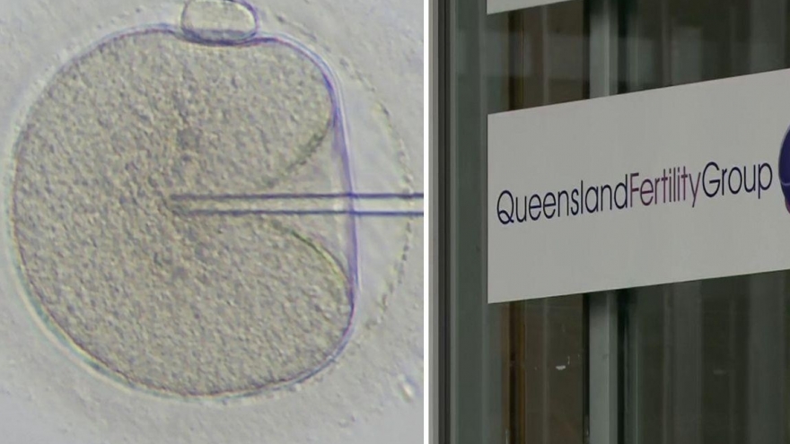 Sai sót nghiêm trọng trong thụ tinh trong ống nghiệm tại Australia